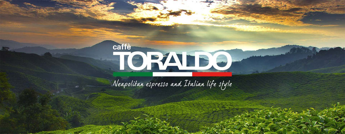 Capsule e Cialde caffè Toraldo